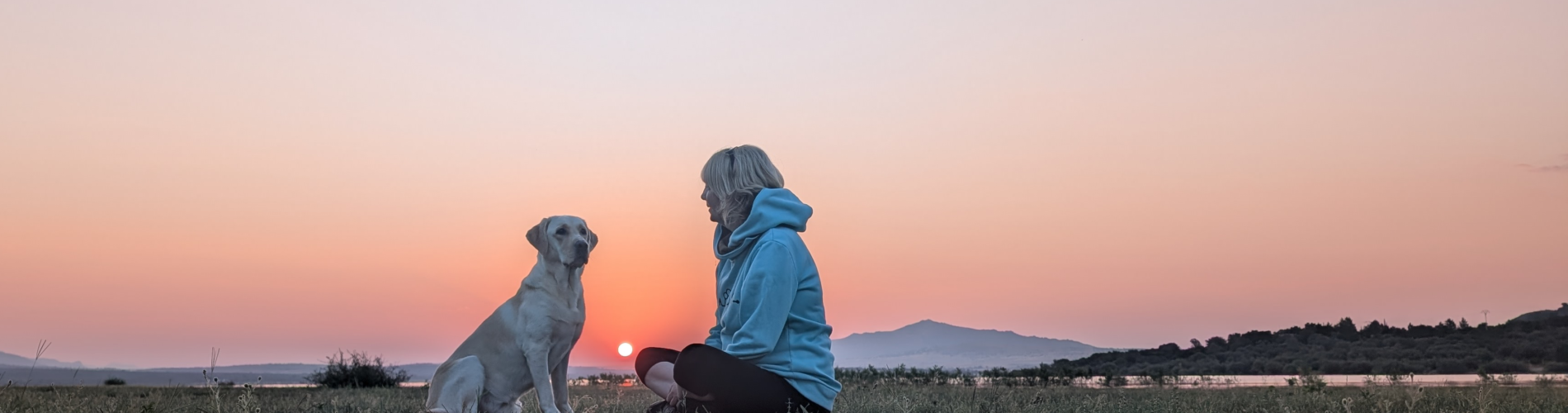 Psicopedagogia Emocional